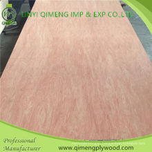 Linyi Qimeng Supply 1220X2440mm Bintangor Plywood with Competitive Price